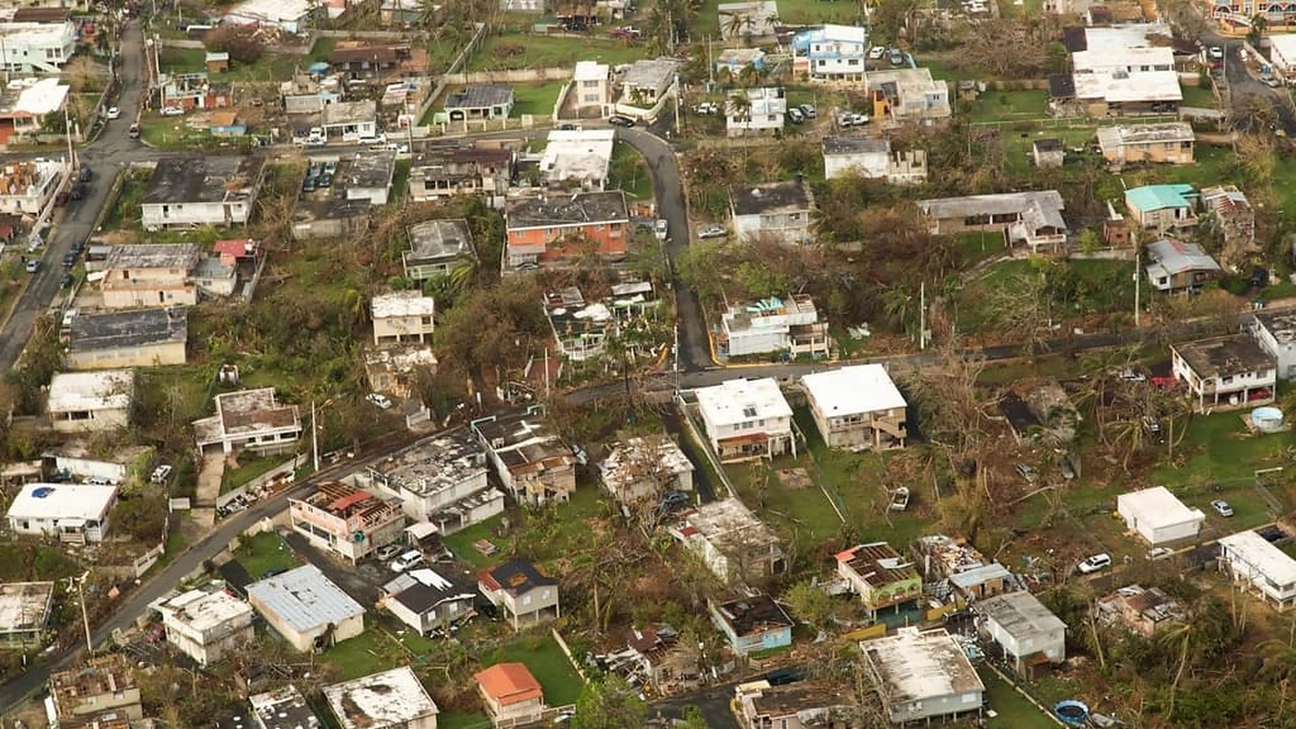 Aerial photograph of a hillside residential district after a hurricane: several roofs are stripped back to their framing, debris lies across the yards, and the surrounding trees have been torn bare.