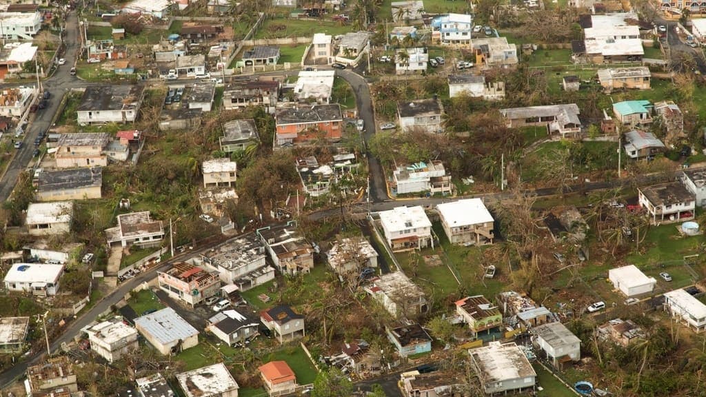 Aerial photograph of a hillside residential district after a hurricane: several roofs are stripped back to their framing, debris lies across the yards and the surrounding trees have been torn bare.